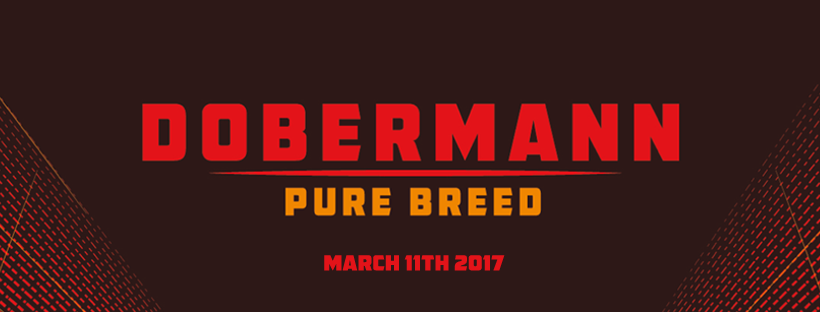 Dobermann Pure Breed